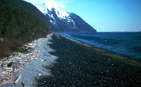 Exxon Valdez